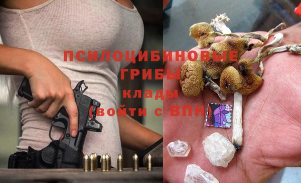 винт Белокуриха